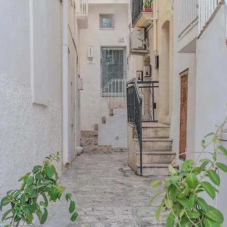 Adorm In The Historic Center Of *